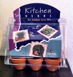 Buzzy Mini Greenhouse Starter Kit Kitchen Fragrant Herbs Windowsill