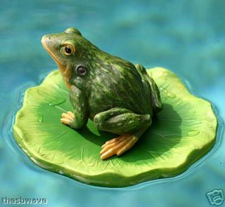 Light Green Frog on Lily Pad Floats in Pool or Pond