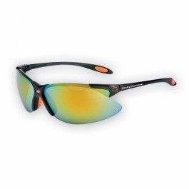 Harley Davidson® Sunglasses Riding Street Glide Sun Glasses HD2021