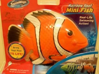 Rainbow Reef Mini Fish Bathtub Automatic Swimming Pool Summer Fun Kids