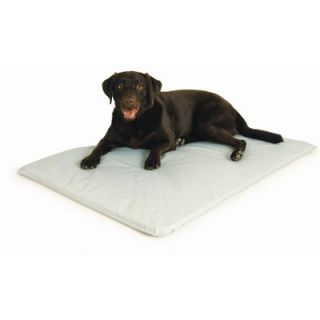 Hugs Pet Products Cool Cot Elevated Dog Bed