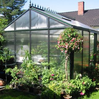 Flowerhouse StarterHouse Polyethylene Mini Greenhouse