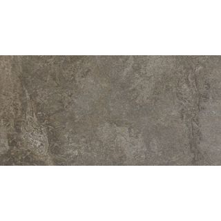 Shaw Floors Domus 12 x 24 Floor Tile in Spanish Moss   CS84F 00300