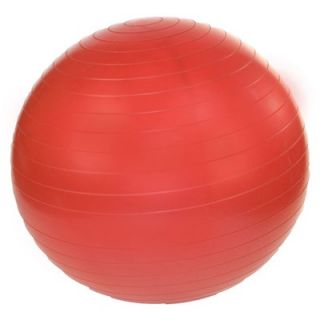 Fit 18 Professional Exercise Ball   20 1801