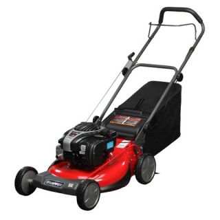 19 Push Mower