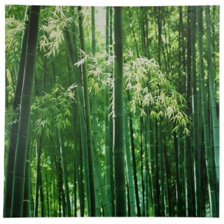 Bamboo Canvas Wall Art   31.5