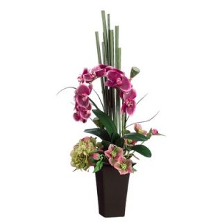 Tori Home 34 Phalaenopsis and Hydrangea Floral Arrangement with