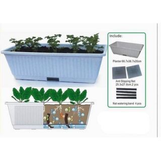 Creative Motion Garden Vegetable Planter Kit
