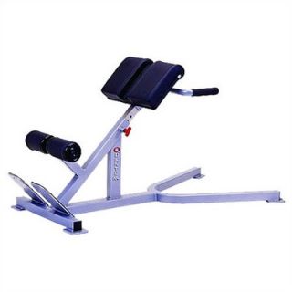 Quantum Fitness High Impact Commercial 45 Degree Hyperextension