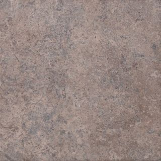 Shaw Floors Sicily 6.5 Porcelain Tile in Desert Sand   CS732 00701