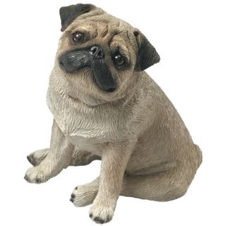 Mid Size Sitting Pug Sculpture in Fawn