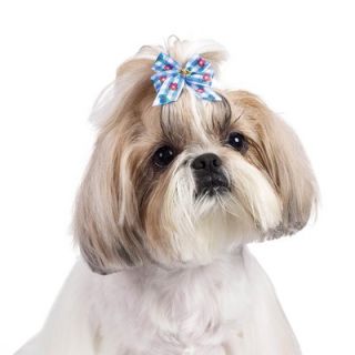 Aria Becky Dog Bows (Pack of 100)   DT286 99