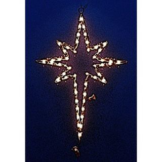 Holiday Lighting Specialists Small Star of Bethlehem