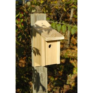 Heartwood Joy Box Bird House