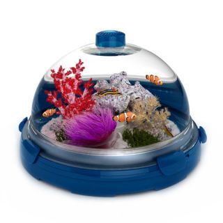 Aquariums Marine Fish Tank Online