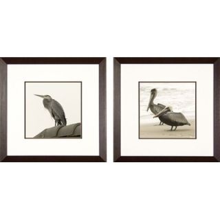 Phoenix Galleries Pelicans Framed Prints   Pelicans Series