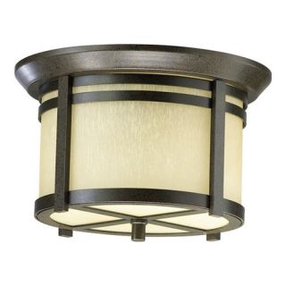 Silo Two Light Outdoor Flush Mount in Oiled Bronze