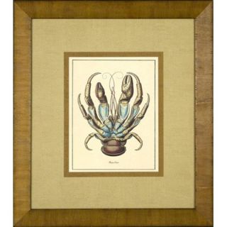 Phoenix Galleries Blue Crab Framed Print