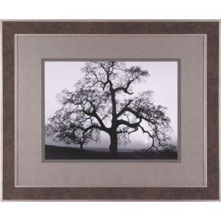 Art Effects Oak Tree, Sunset City Framed Artwork