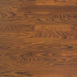 Shaw Floors Natural Values 7mm Oak Laminate in Mount McKinley