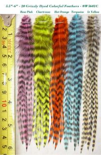 20 Whiting Grizzly Feathers for Hair Extension and Fly Tying W5601C 5