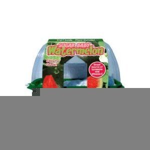 Sugar Baby Watermelon Sprout N Grow Greenhouse Kit w Seeds