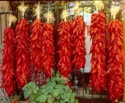 Hatch New Mexico Chile Pepper Seeds Mixed Hot