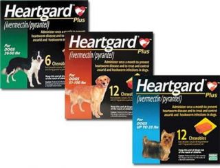 Heartgard Plus for Small Dogs Up to 25 lbs 6 Months Supply Protect
