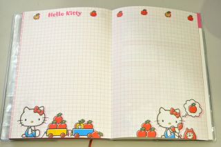 2013 Hello Kitty Schedule Book Daily Planner Agenda Diary Classic A6 w