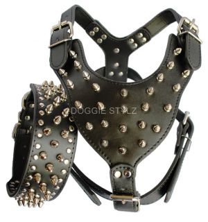 Black Leather Dog Harness Collar Set Spikes Studs Pit Bull 26 34