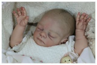 Amazing Life Like Reborn Collectors Doll Freya by Tina Kewy Now Baby