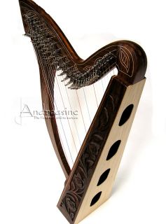 Included FREE Fun with the Folk Harp & Easy Celtic Solos