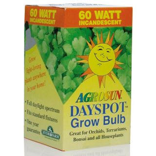  dayspot bulb spotlight tropical plats a terrarium or bonsai