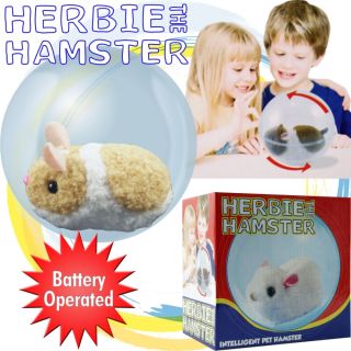 since 1999 herbie the hamster intelligent pet rolls on floor
