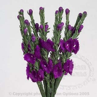 Scottish Purple Heather Flower Stems Wedding Favour Decoration Craft