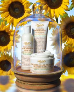 sunflower oil hair collection $ 18 25 beauty event