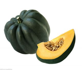 Acorn Table Queen Winter Squash Heirloom 30 Seeds Same Day Shipping