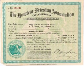 holstein friesian certificate of registry 1925