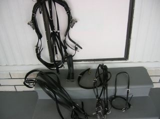 Standardbred Harness Horse Racing Complete Harness Walsh