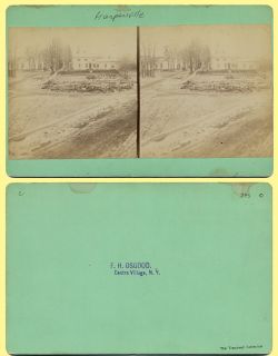 1880s Harpersville New York Snowy Streets Houses Horse Stereoview