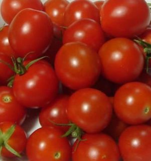 Large Red Cherry Heirloom Tomato Open Pollinated Vegetable 75 Seeds