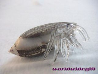 Hermit Crab Art Glass Tiger Moon Sea shell animal