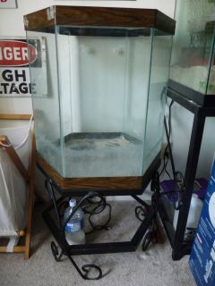 35 Gallon Hexagon Fish Tank Aquarium with Stand and Cover