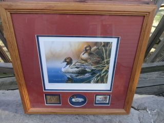 Holzman 1999 2000 Ducks Unlimited Duck Stamp and Print 286 1250