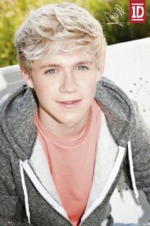 New Niall Horan One Direction Poster