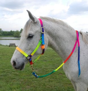 Striking Horse Rainbow Halter with 8 Foot Lead and Brass Hardware What