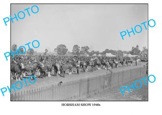 Large Photo of Old Horsham Show 1940s Draught Horses