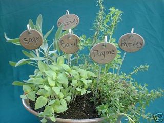 Herb Plant Garden Markers on Stakes Tags Set of Five