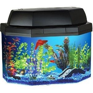 Hawkeye 5 Gallon Semi Hexagon Fish Tank Aquarium Kit FREE SHIP Light