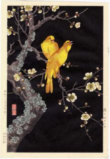 nishimura hodo canaries date c 1938 takemura hideo yokahama 1926 39